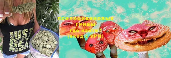 дурь Волоколамск