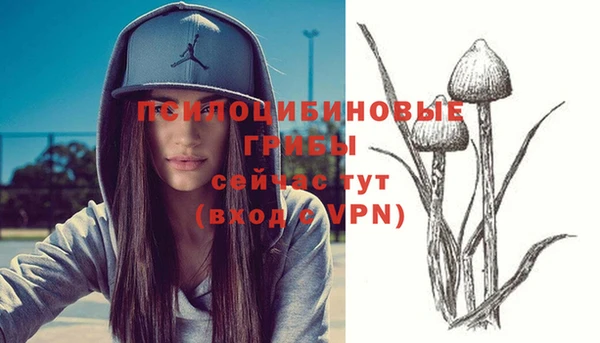 прущие крисы Верея