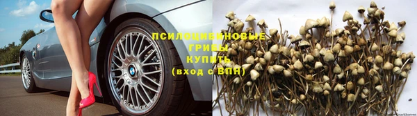 прущие крисы Верея