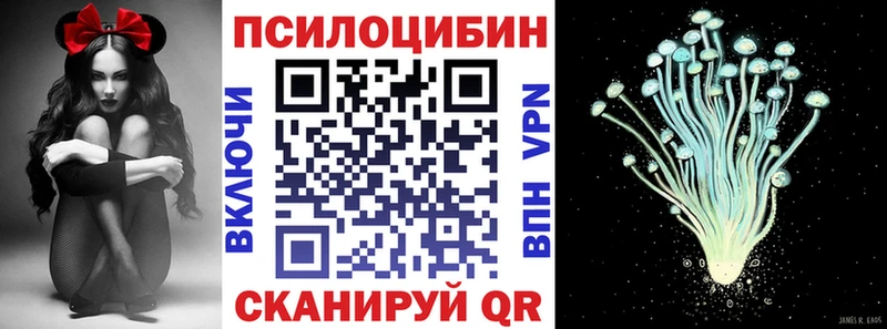 Псилоцибиновые грибы ЛСД как найти закладки Фёдоровский